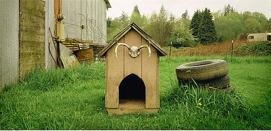 欧洲各国最受欢迎游戏曝光 波兰竟不是《巫师3》